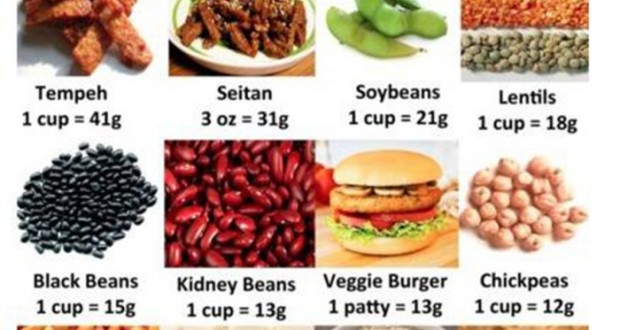 Alkylating Agents Protein Diet