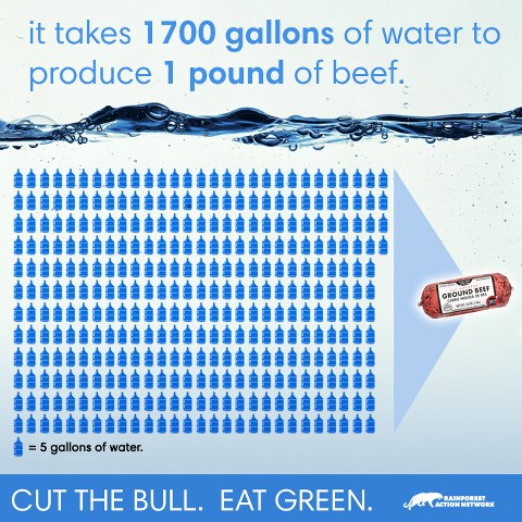 water-beef-infographic